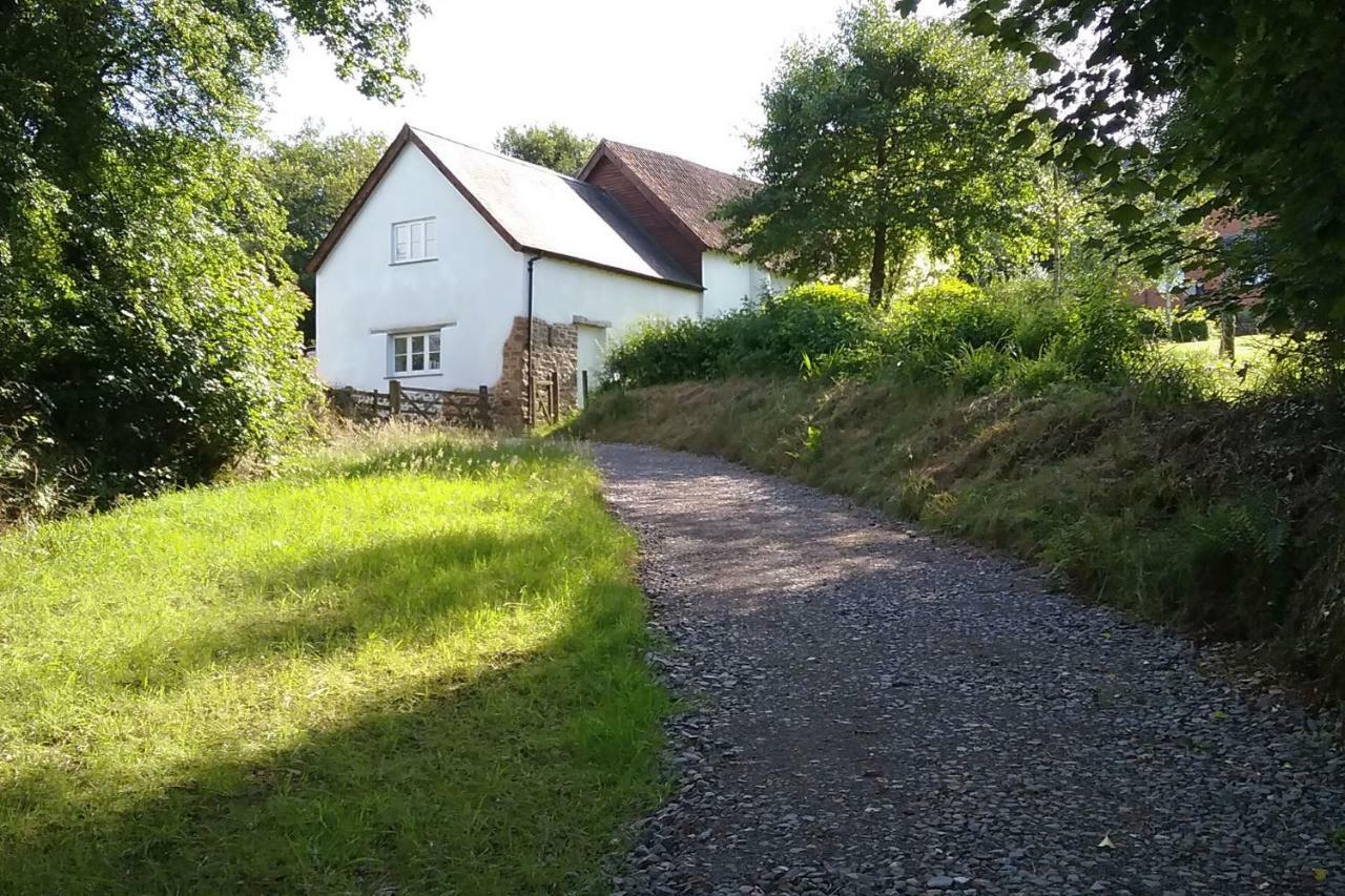 Woodland Cottage South Molton Exteriér fotografie