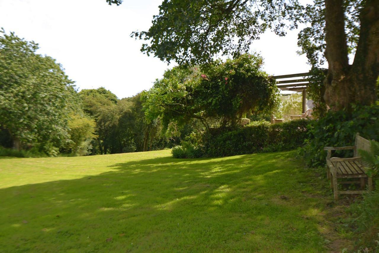 Woodland Cottage South Molton Exteriér fotografie